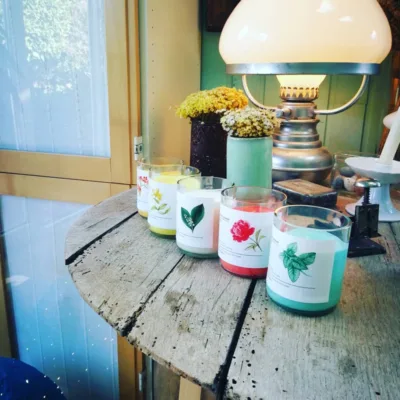 CupCandle 13